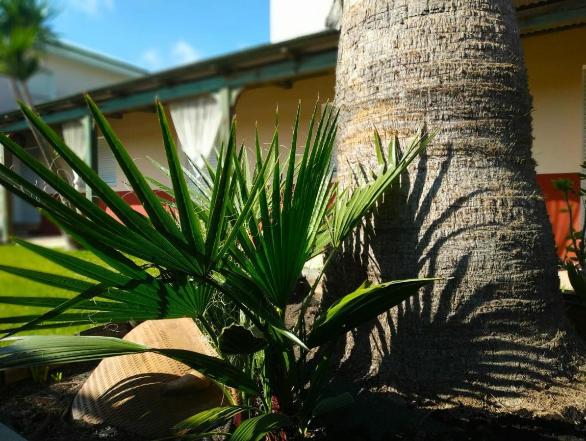 Casablanca El Petit Hotel Deltebre Dış mekan fotoğraf
